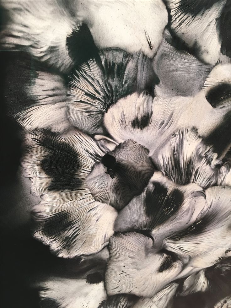 The Power of Timeless Pieces
