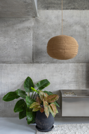 Labu Shade in Soft Husk